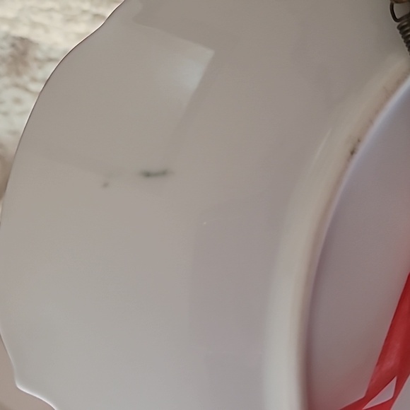 Vintage Floral painted plate porcelain w/ already attached hardware for hanging - Picture 10 of 12